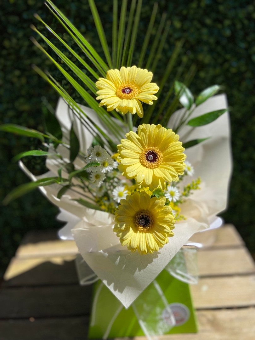 Gerbera Display