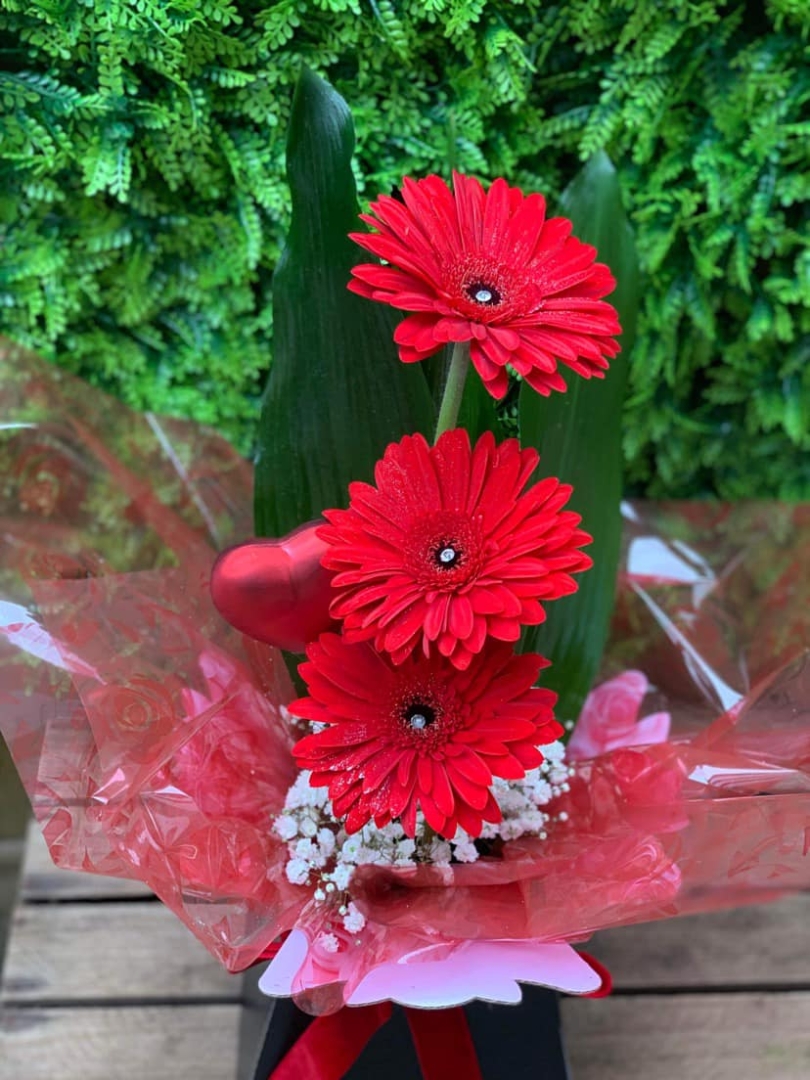 Gerbera Display