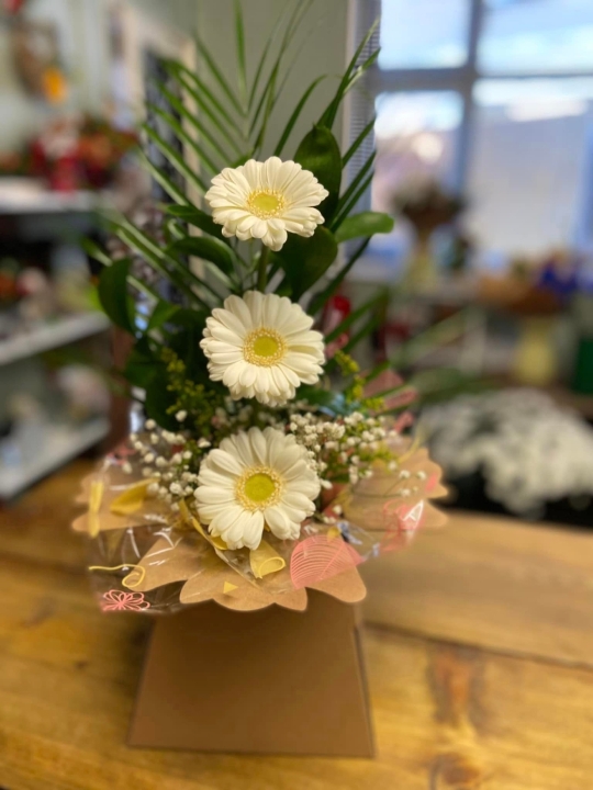 Gerbera Display